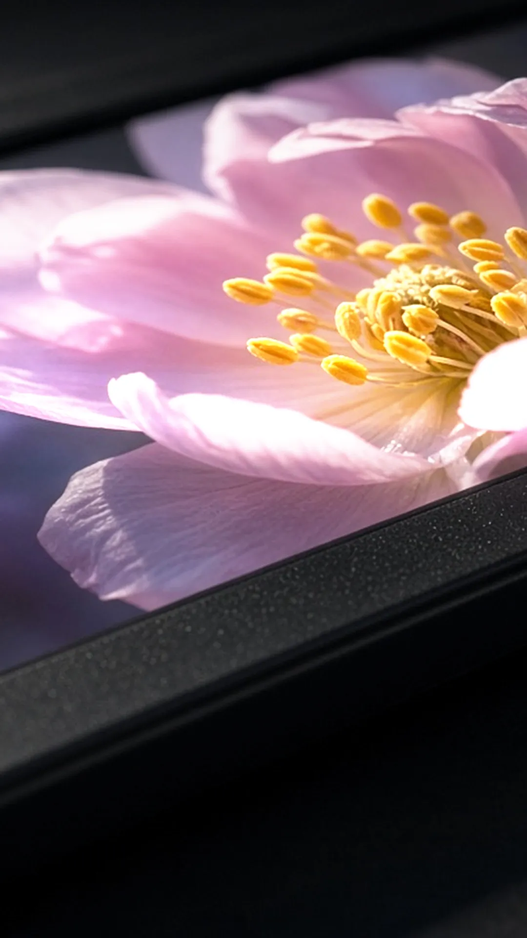 Close view of a frame screen edge